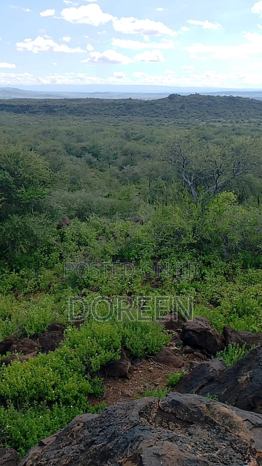 Land for Hotel Construction