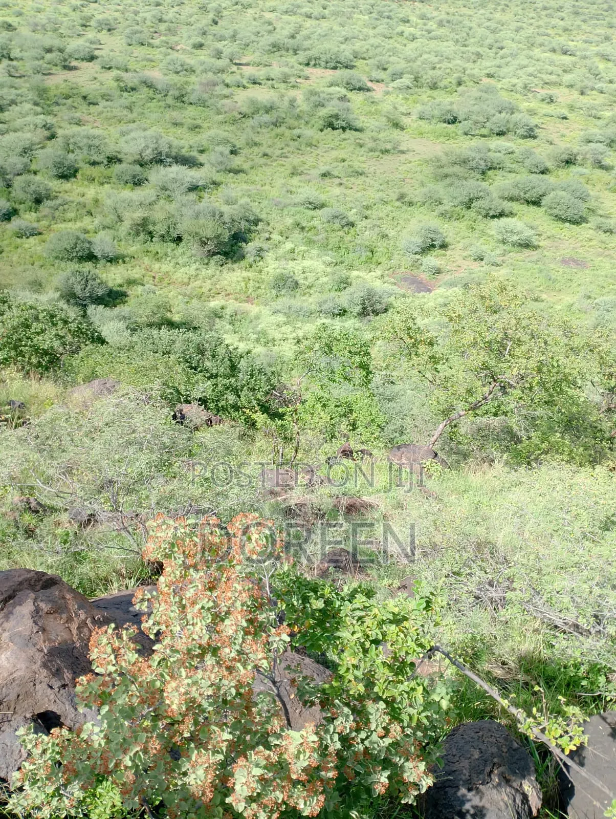 Land for Hotel Construction