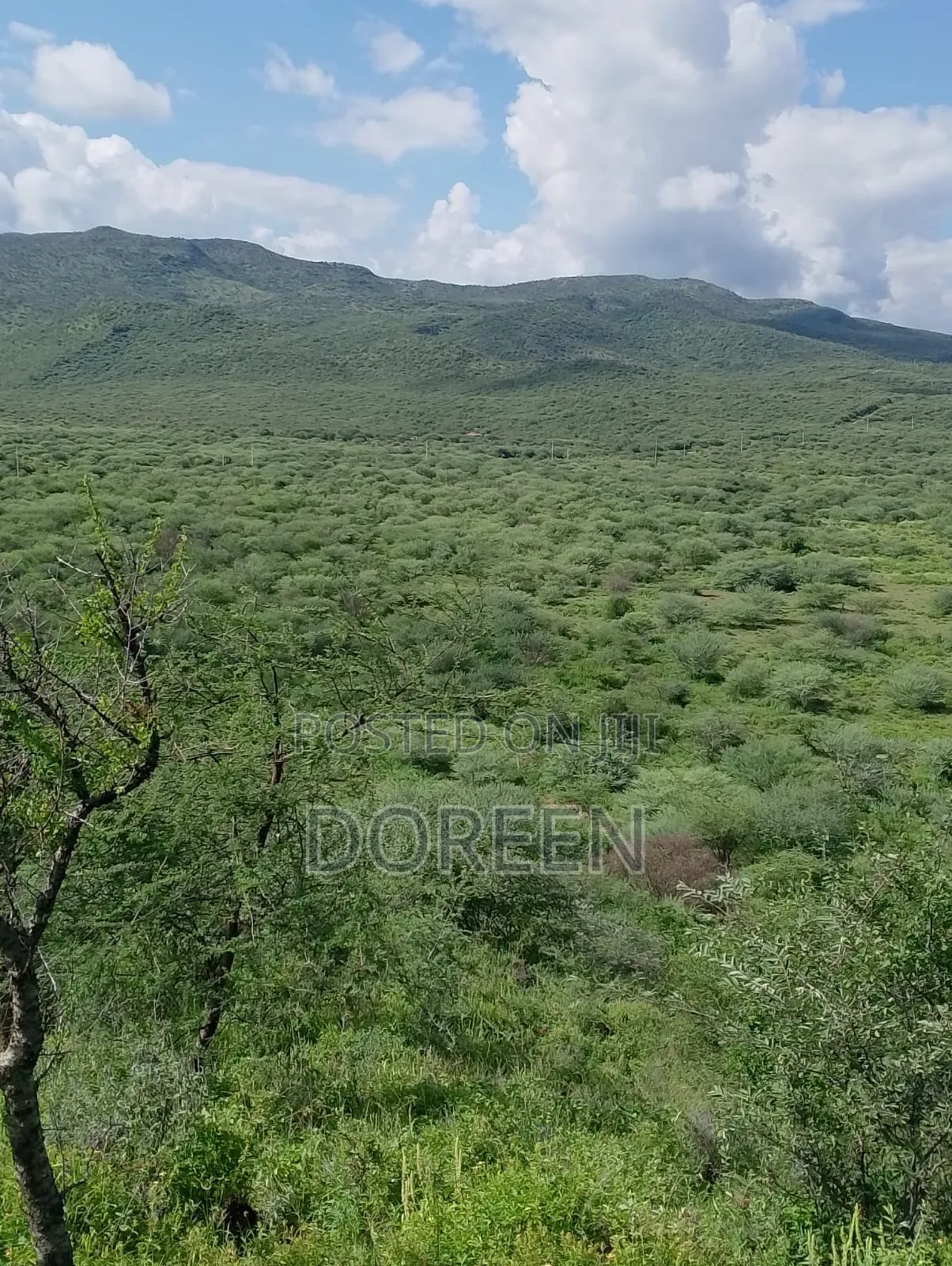 Land for Hotel Construction
