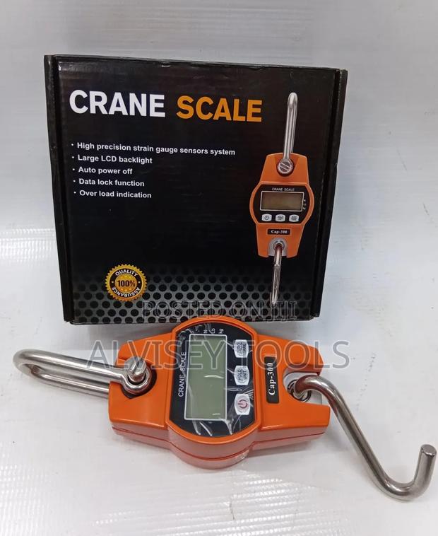 300kgs Crane Scale/Hanging Scale