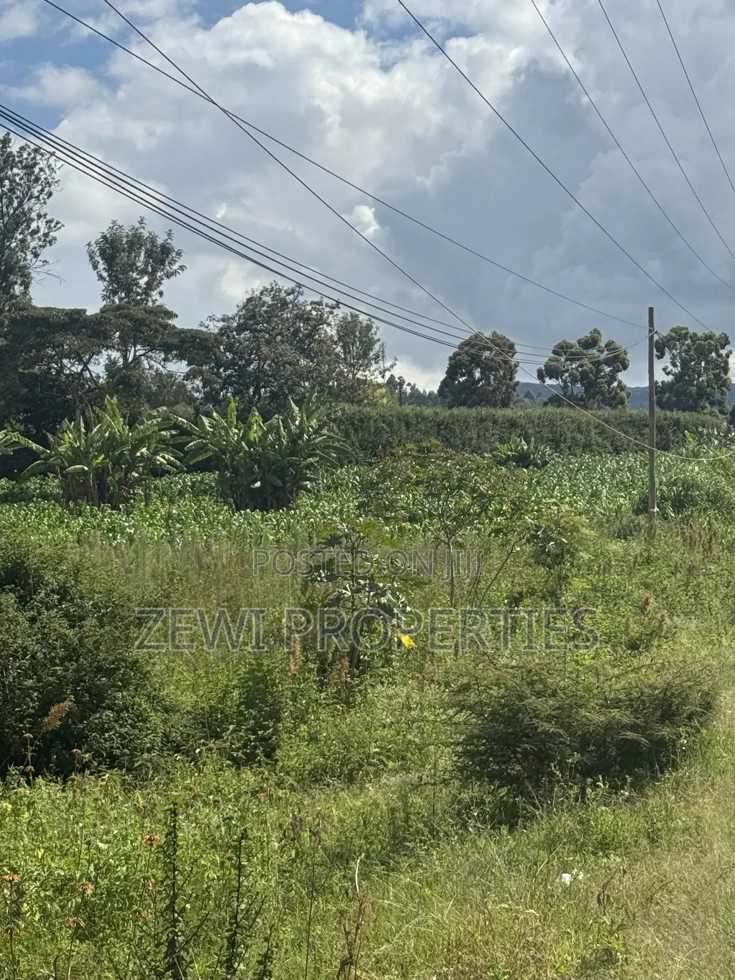 Prime 9 Acre Block Olkeri