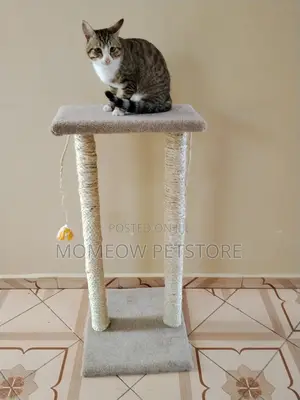 Cat Scratching Post and Scratcher