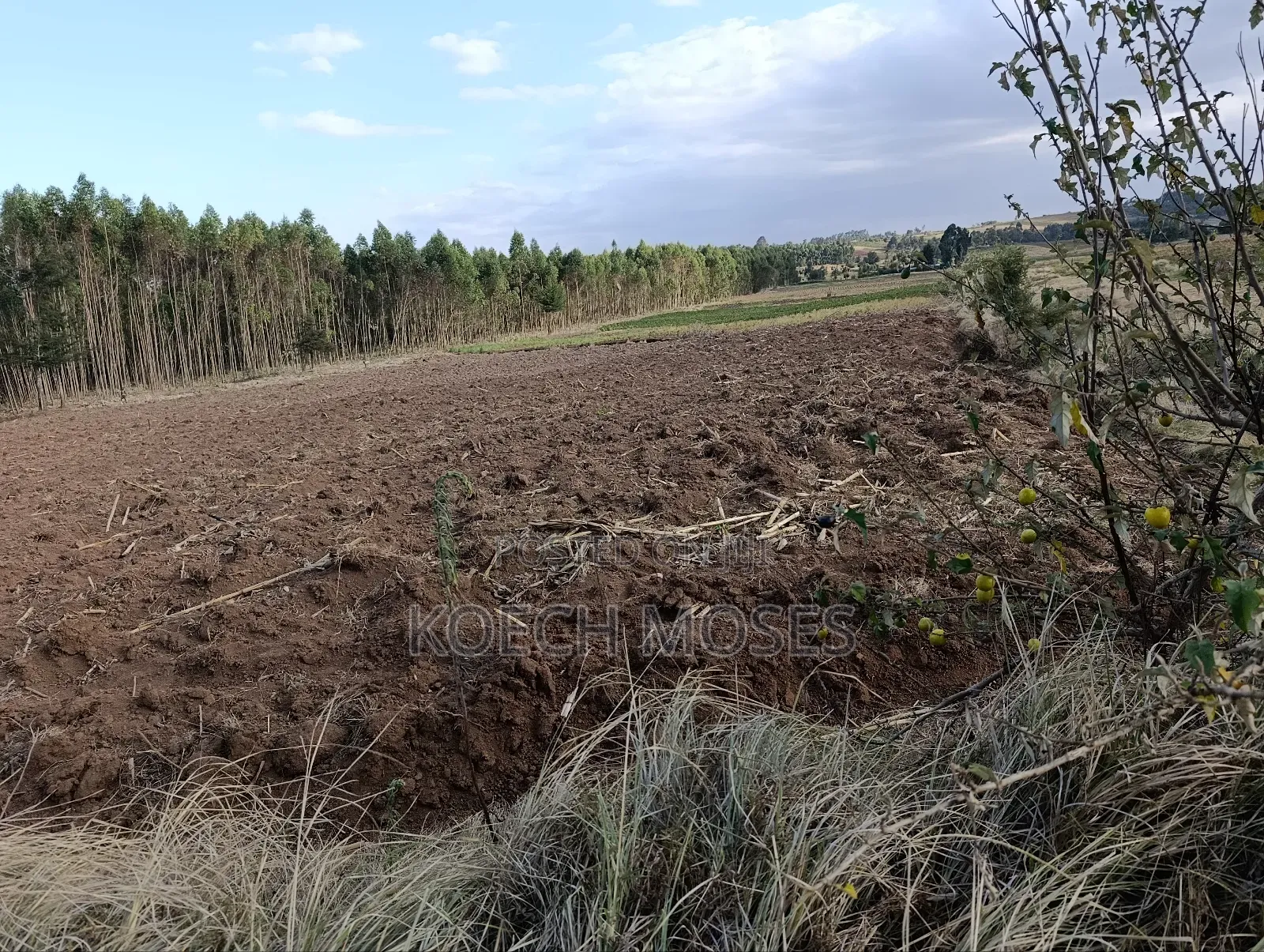 25 Acres of Rich Agricultural Land for Sale in Kamuri, Kuresoi North