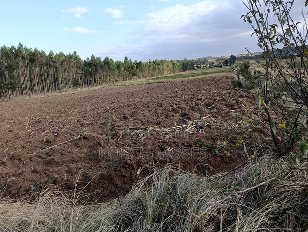 25 Acres of Rich Agricultural Land for Sale