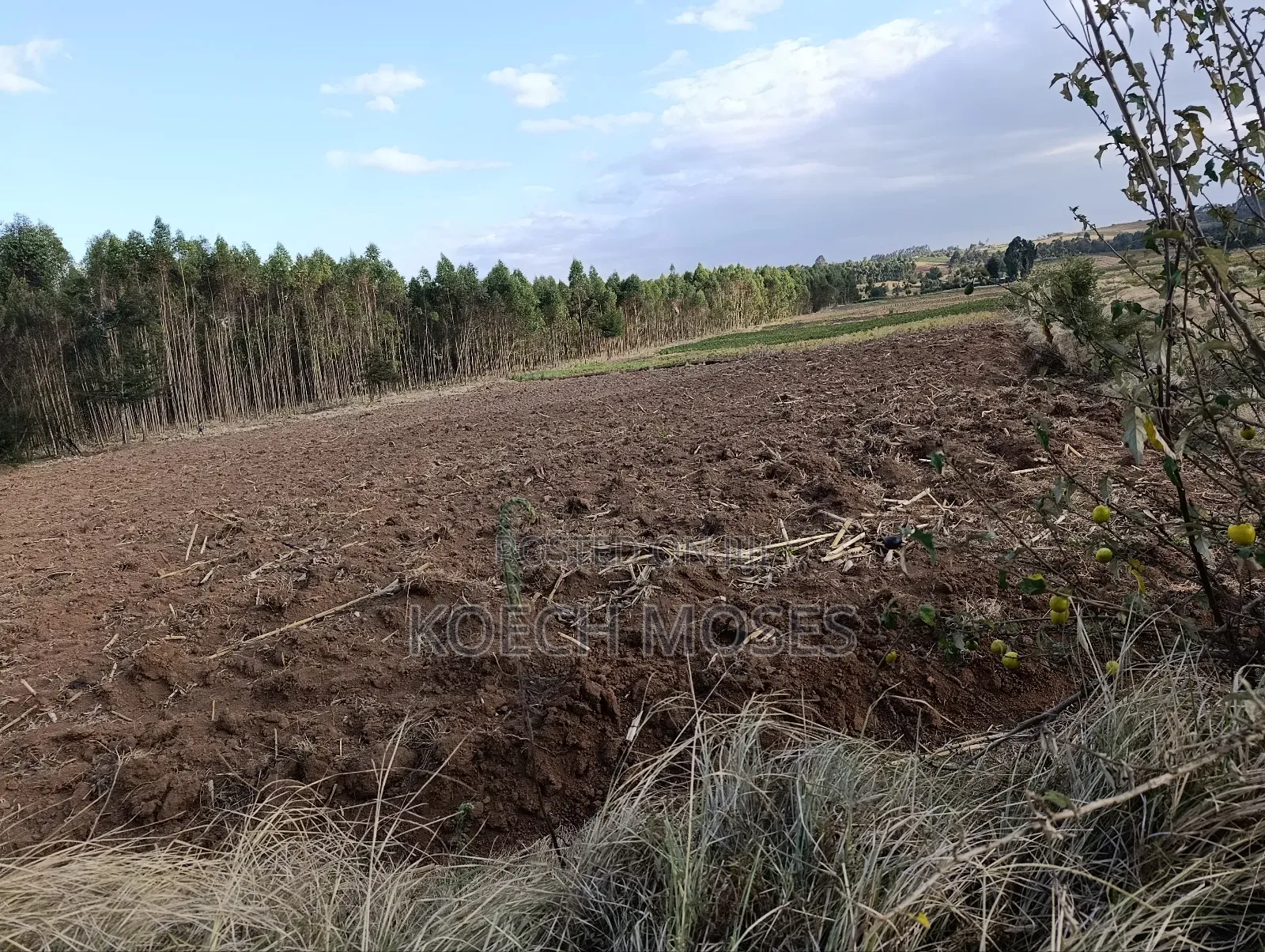 25 Acres of Rich Agricultural Land for Sale in Kamuri, Kuresoi North