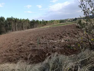 25 Acres of Rich Agricultural Land for Sale in Kamuri, Kuresoi North