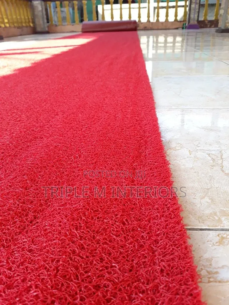 Stylish Non-Slip Spaghetti Entrance Rug