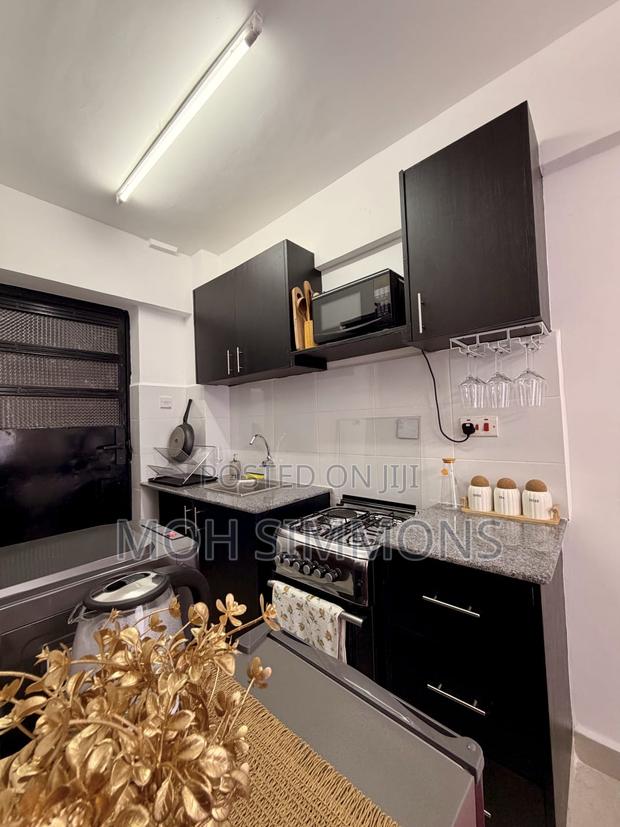 Fancy Fully Furnished Studio Ngara/Parklands - thumbnail 11
