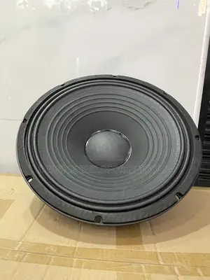 JBL Mid Range 15” Speaker