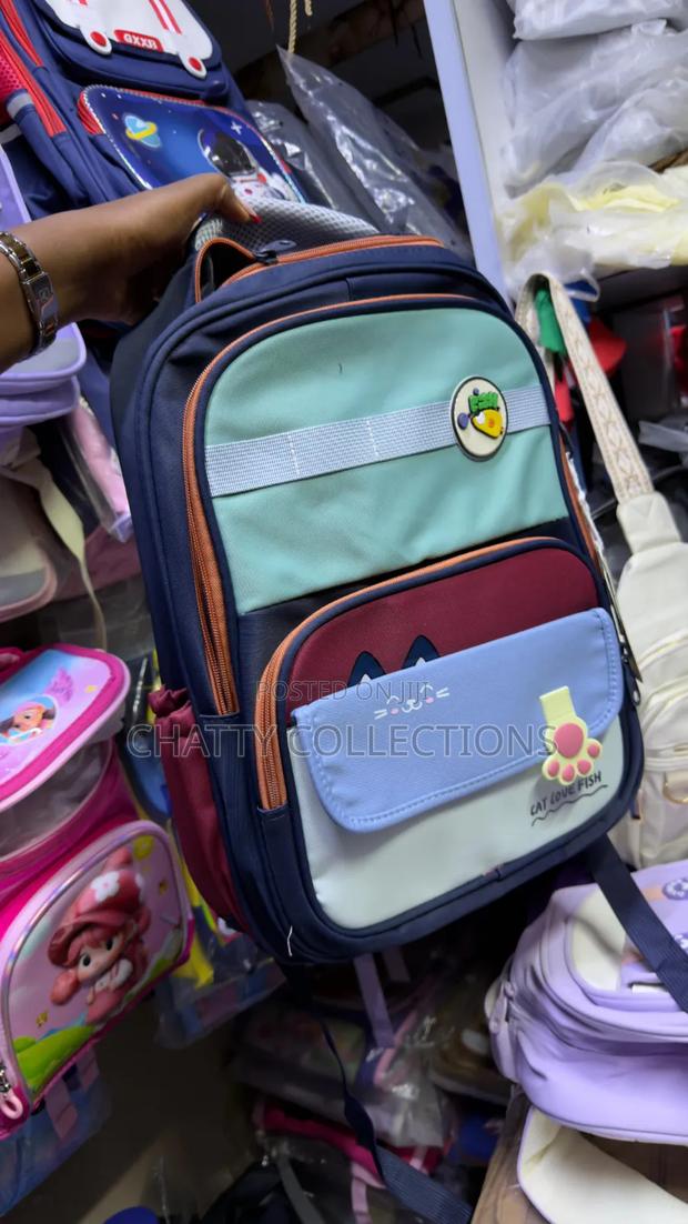 Heavy Capacity Unisex School Bags Grade 1 to 4