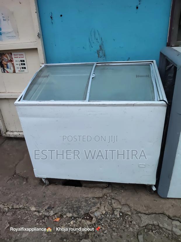 Display Freezer 300litres - thumbnail 2