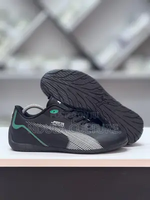Mercedes-Amg Petronas Neo Cat Riding Shoes
