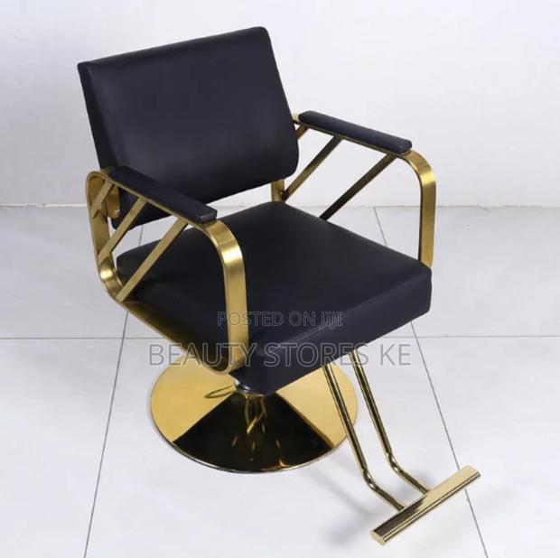 Salon Chair