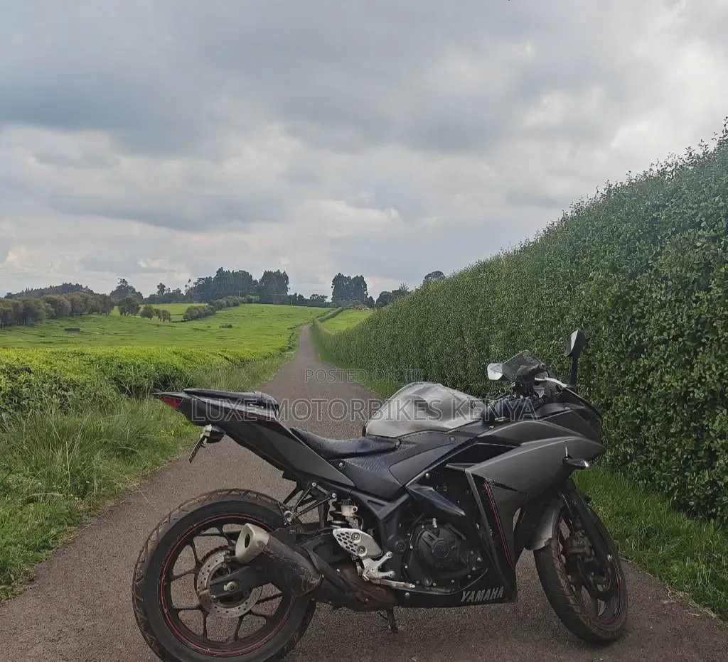 Yamaha R3 2016