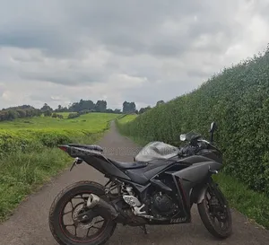 Yamaha R3 2016