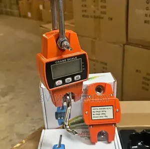 Heavy Duty 300kg Crane Scale