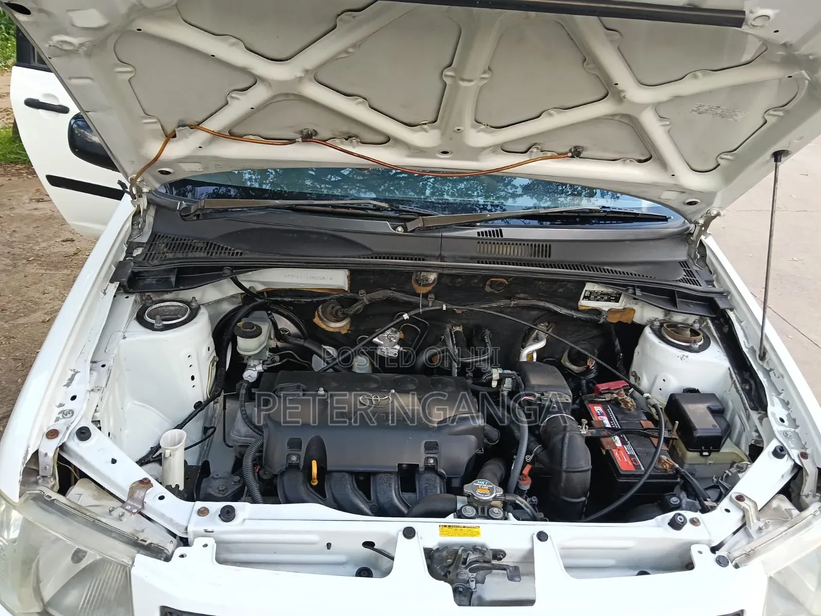 Toyota Succeed 2010 White