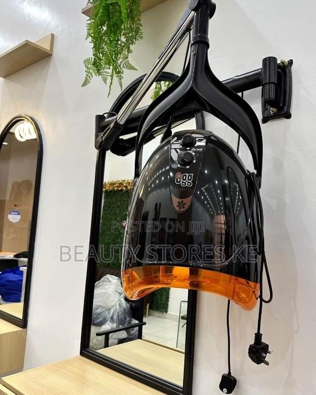 Black Orange Egg Wall Mounted Dryer