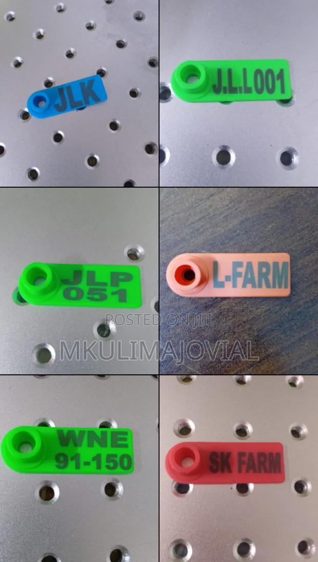 Slim Shaped Customized Ear Tags - Best Price