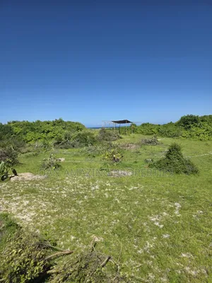 12 Acres Beachfront Watamu St Thomas Area for Sale as a Block