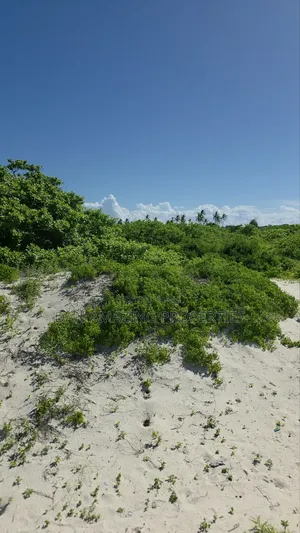 12 Acres Beachfront Watamu St Thomas Area for Sale as a Block
