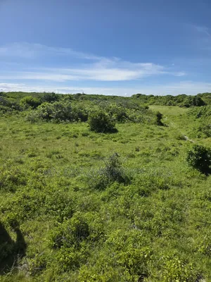12 Acres Beachfront Watamu St Thomas Area for Sale as a Block