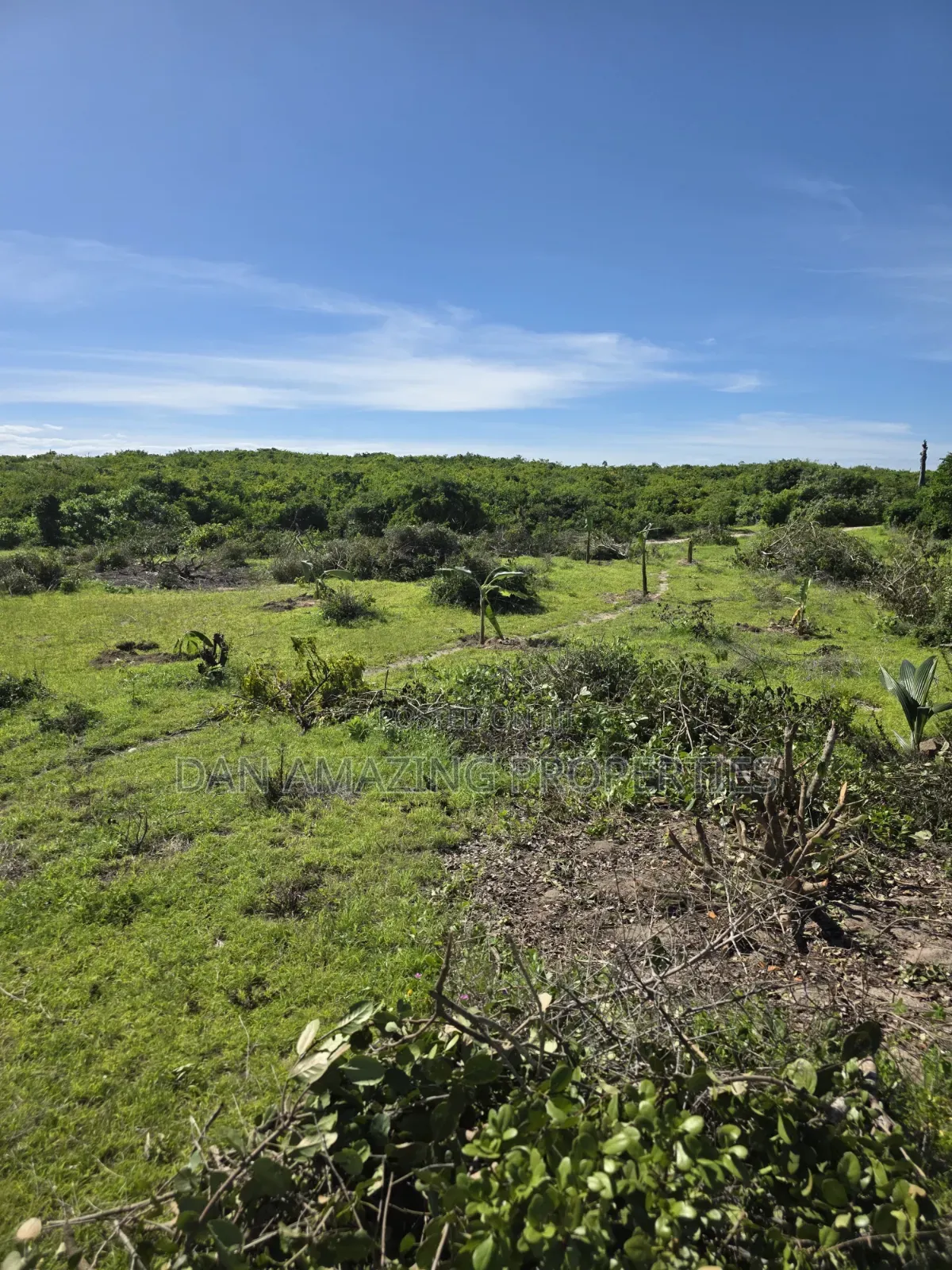 12 Acres Beachfront Watamu St Thomas Area for Sale as a Block