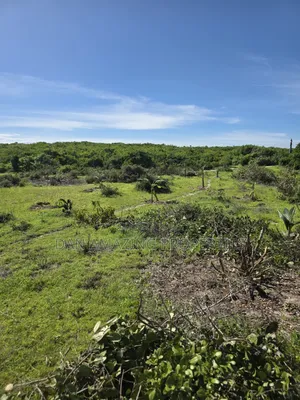12 Acres Beachfront Watamu St Thomas Area for Sale as a Block