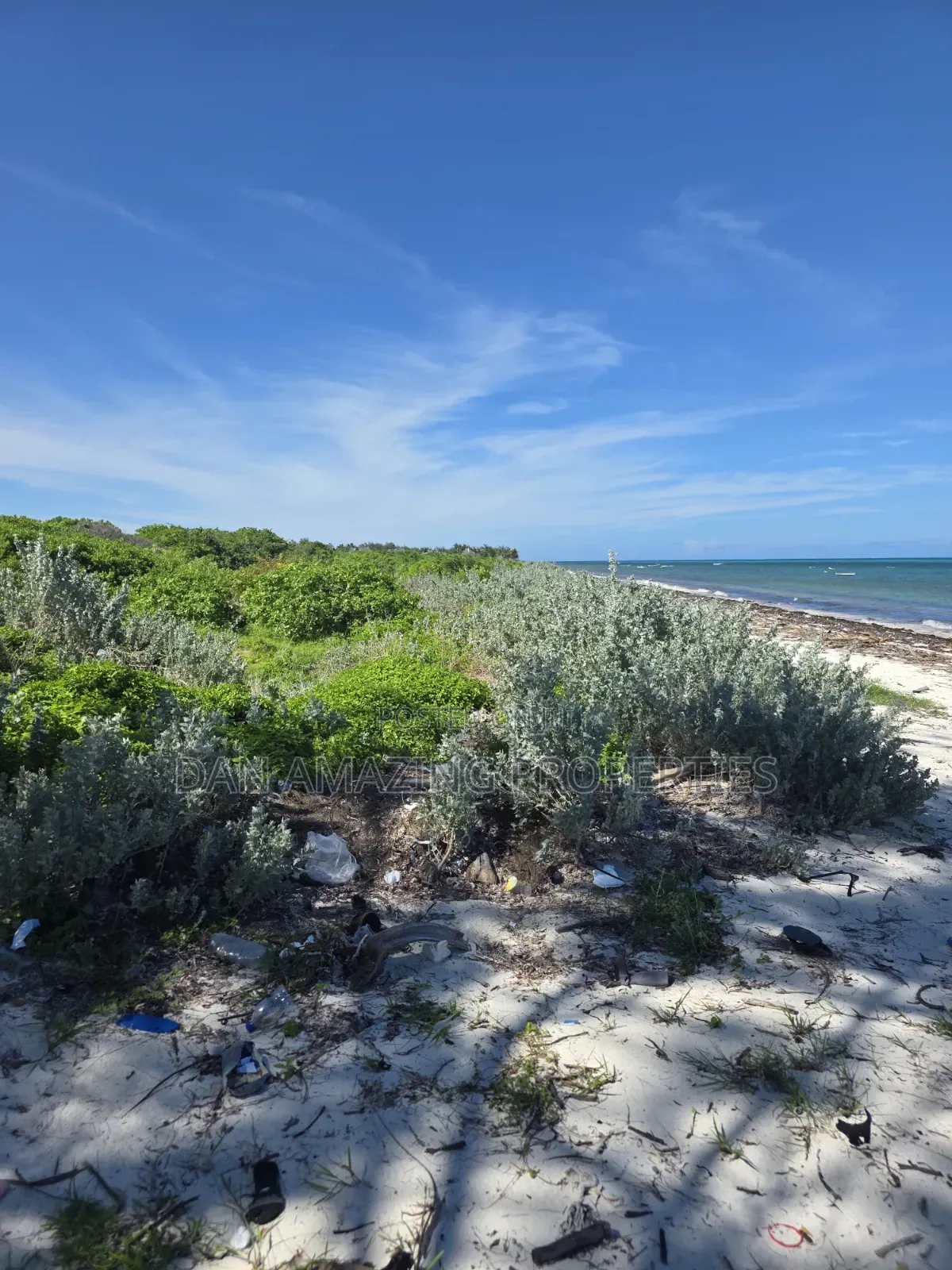 12 Acres Beachfront Watamu St Thomas Area for Sale as a Block