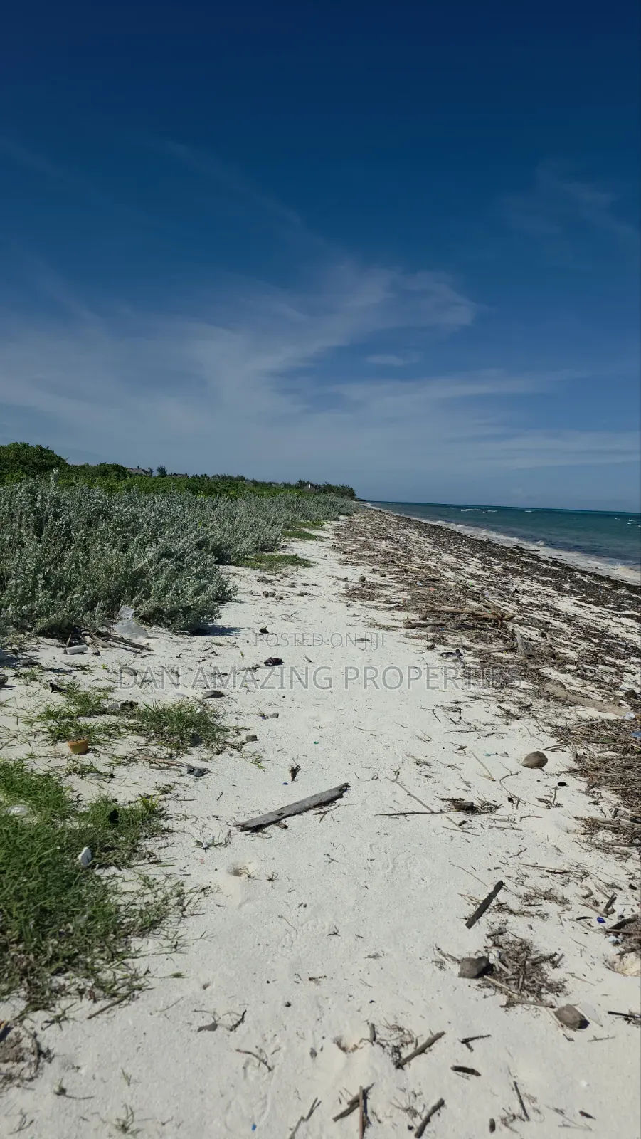 12 Acres Beachfront Watamu St Thomas Area for Sale as a Block