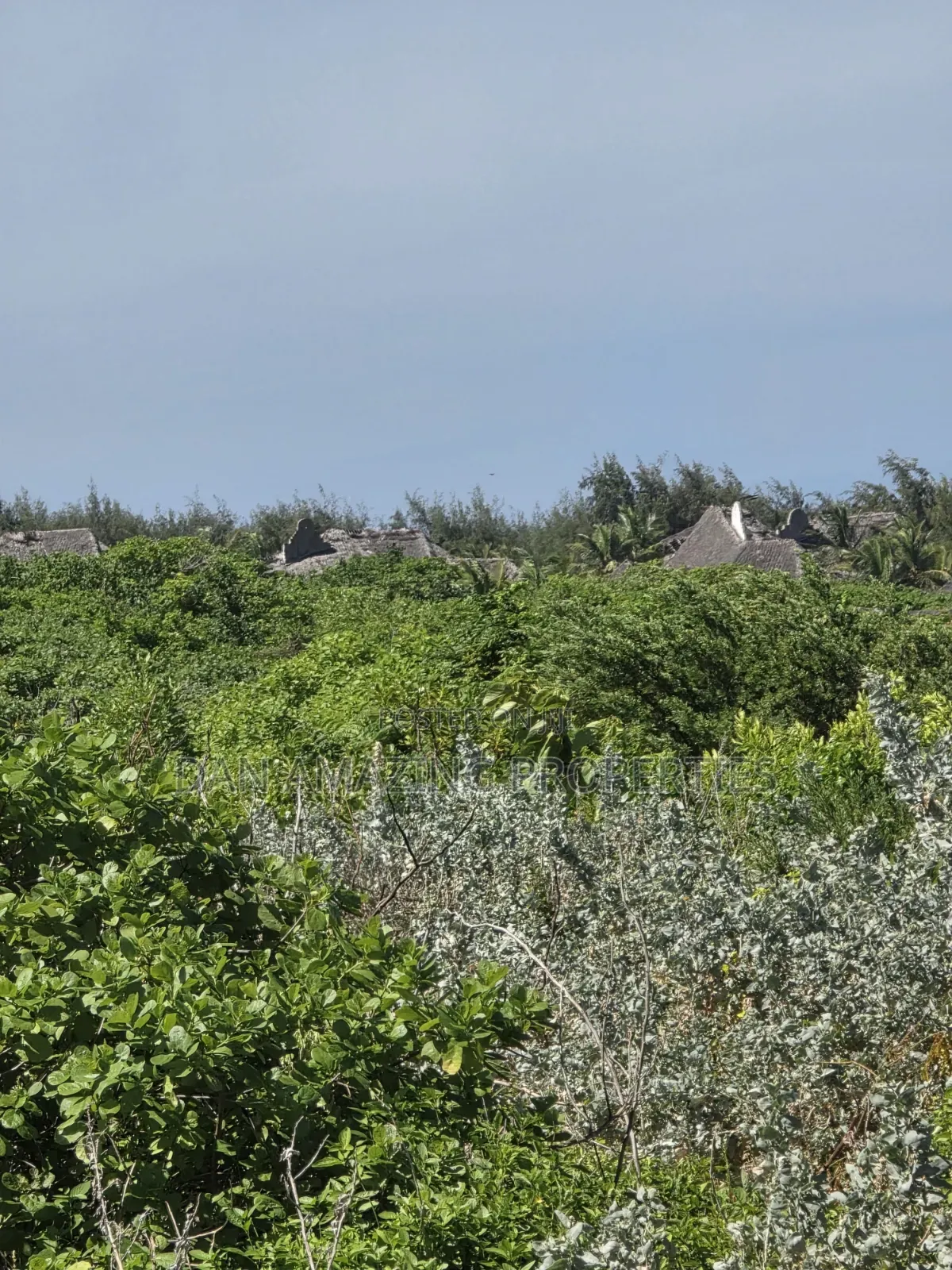 12 Acres Beachfront Watamu St Thomas Area for Sale as a Block
