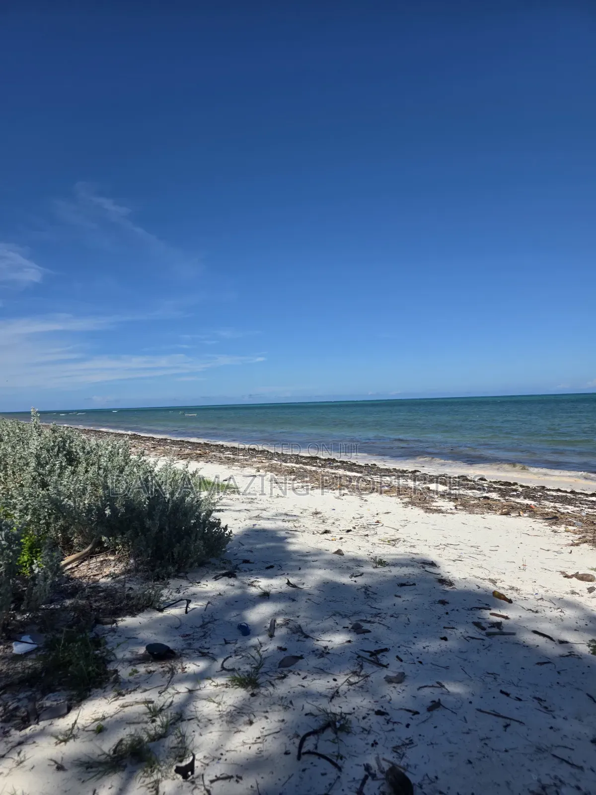 12 Acres Beachfront Watamu St Thomas Area for Sale as a Block