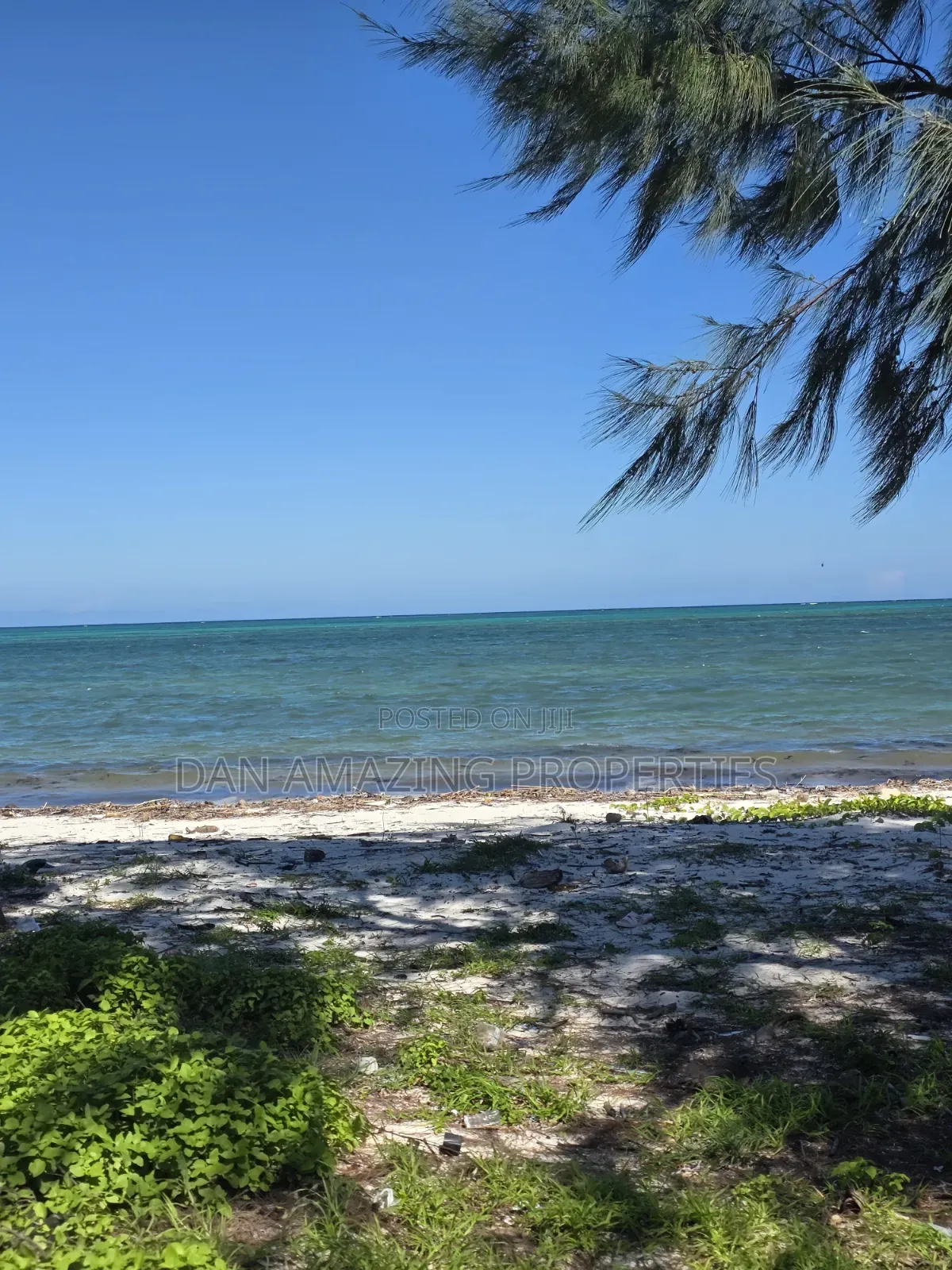 12 Acres Beachfront Watamu St Thomas Area for Sale as a Block