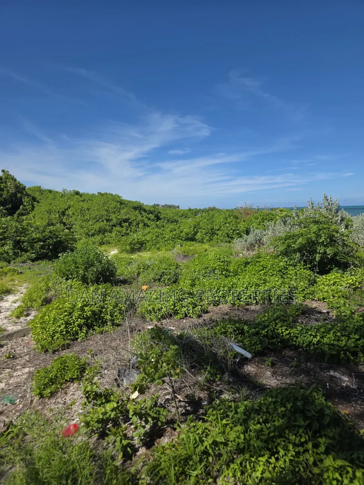 12 Acres Beachfront Watamu St Thomas Area for Sale as a Block