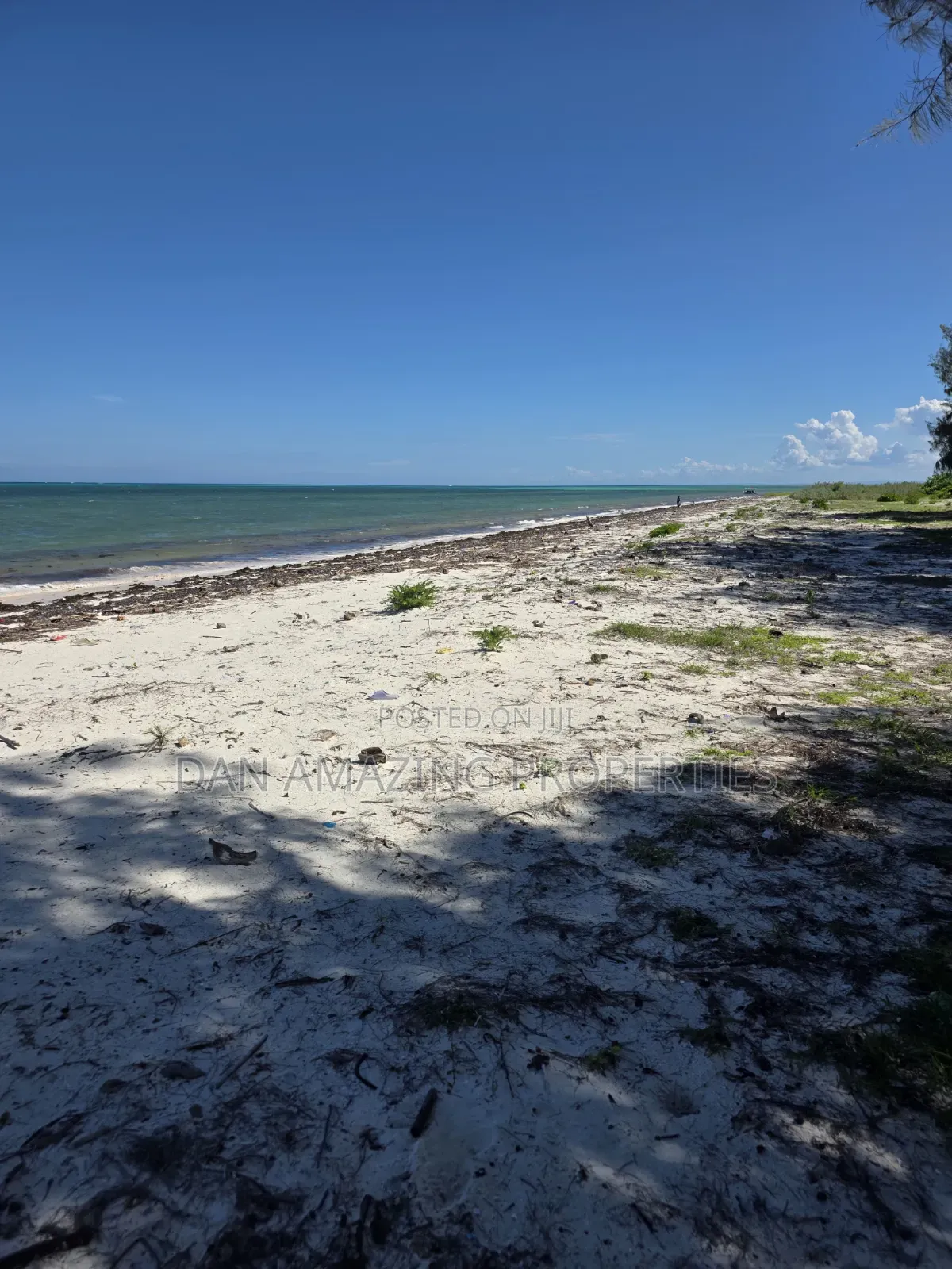 12 Acres Beachfront Watamu St Thomas Area for Sale as a Block