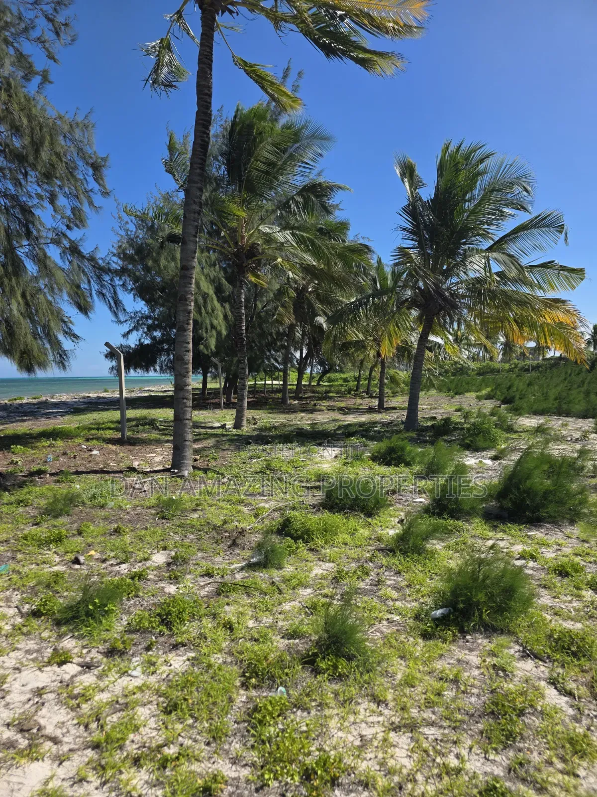 12 Acres Beachfront Watamu St Thomas Area for Sale as a Block