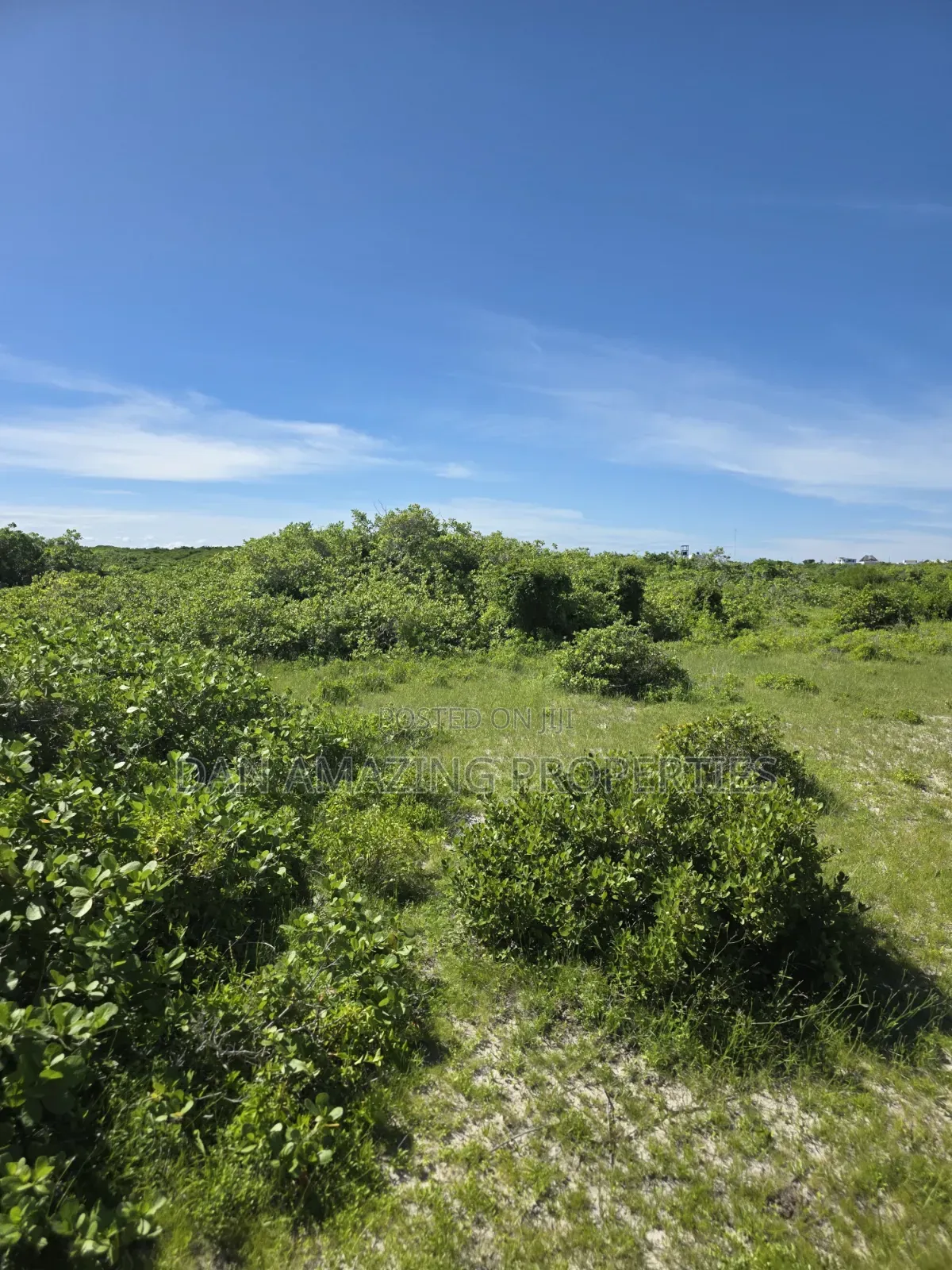 12 Acres Beachfront Watamu St Thomas Area for Sale as a Block