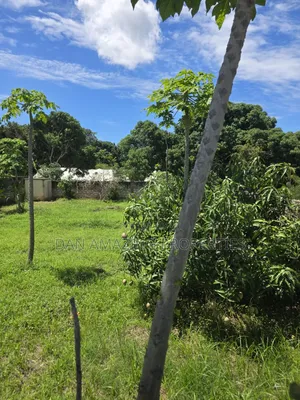 50 by 100 Plot Mtwapa Kizingitini for Sale Fully Fenced With Perimeter