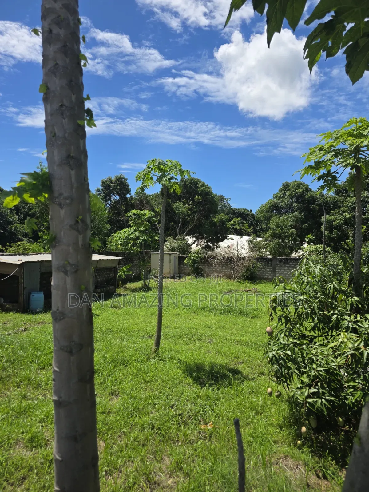 50 by 100 Plot Mtwapa Kizingitini for Sale Fully Fenced With Perimeter