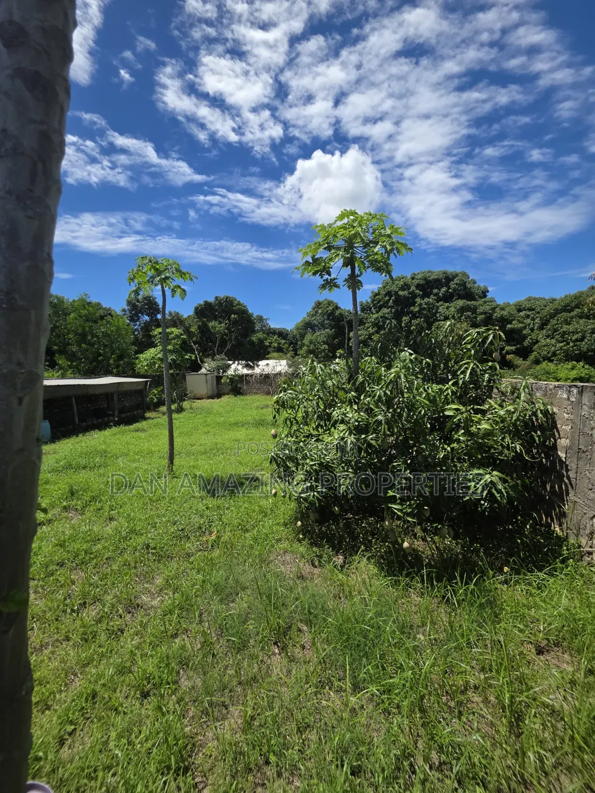50 by 100 Plot Mtwapa Kizingitini for Sale Fully Fenced With Perimeter