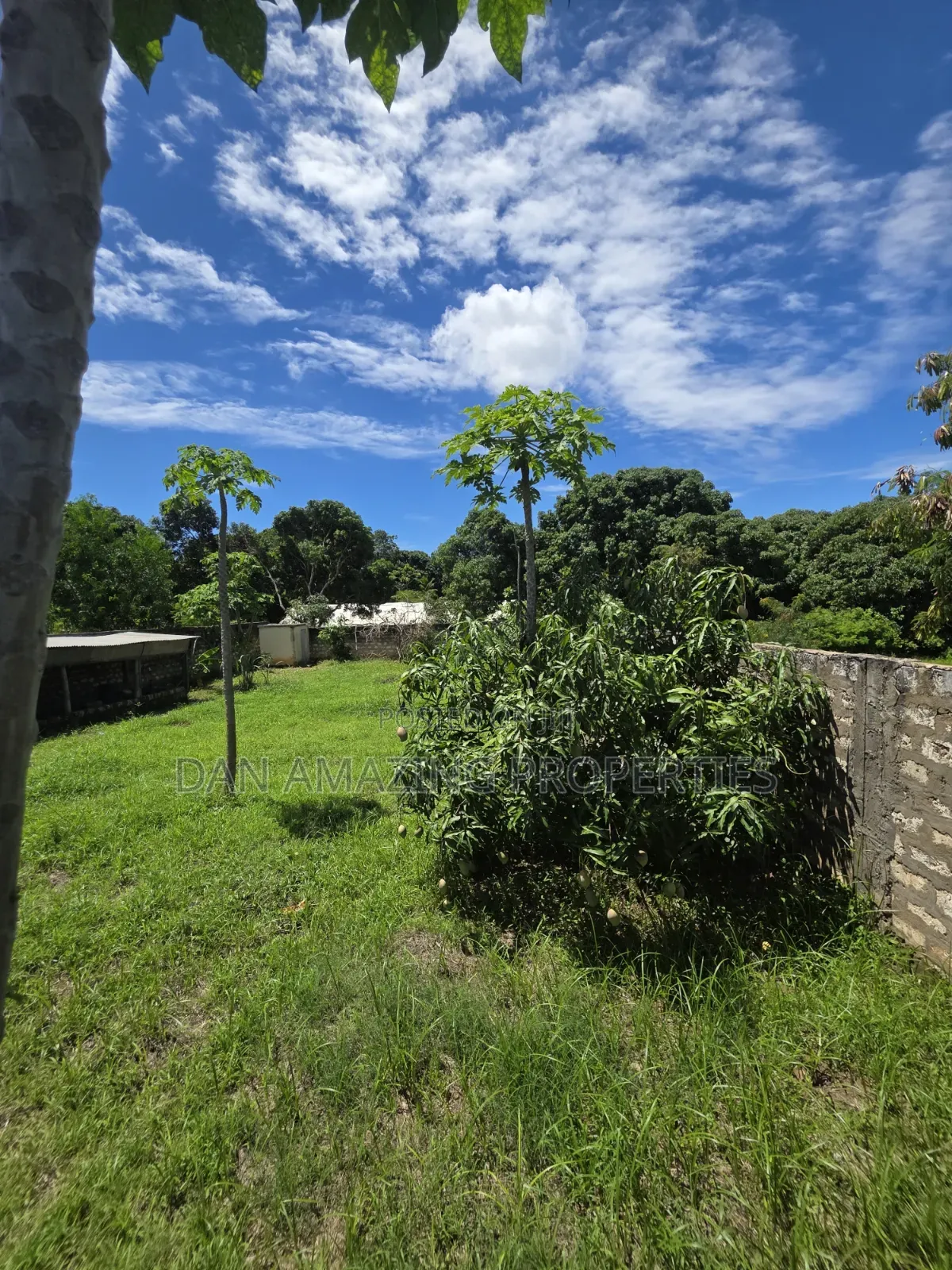 50 by 100 Plot Mtwapa Kizingitini for Sale Fully Fenced With Perimeter