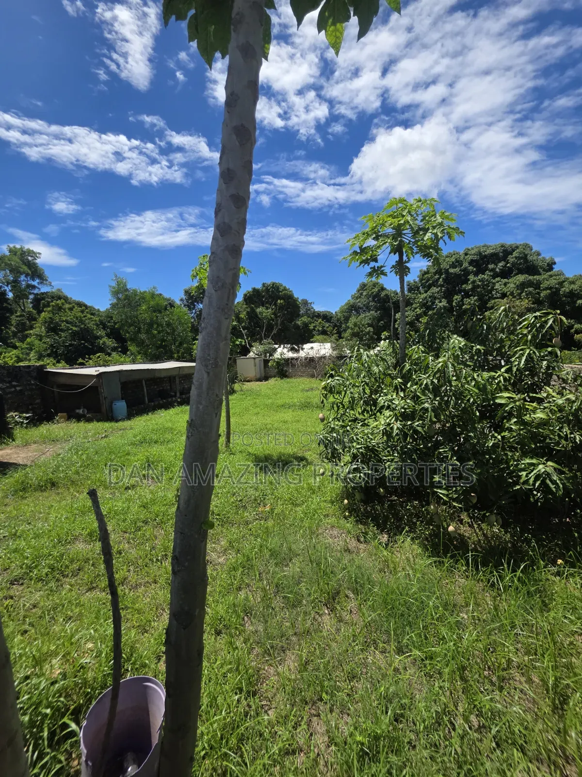 50 by 100 Plot Mtwapa Kizingitini for Sale Fully Fenced With Perimeter