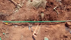 Professional Plumbing Services