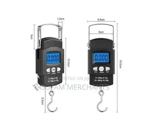 Portable Digital Electronic Weighing Scale–High Precision Scale