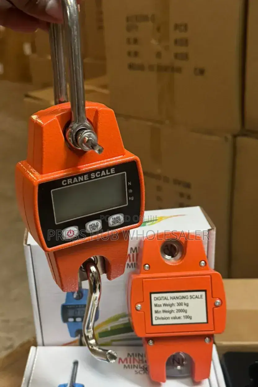 300kg Mini Crane Scale (Model: Cap-300) – Portable Industrial Weighing