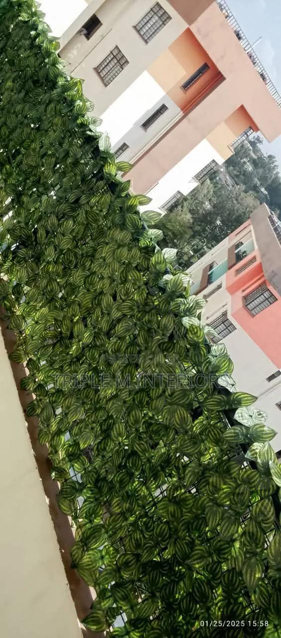 Greenwrap Outdoor Divider - main view