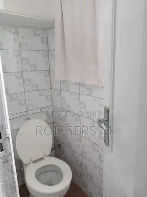 Furnished Studio Apartment in Raphta Road Area for rent
