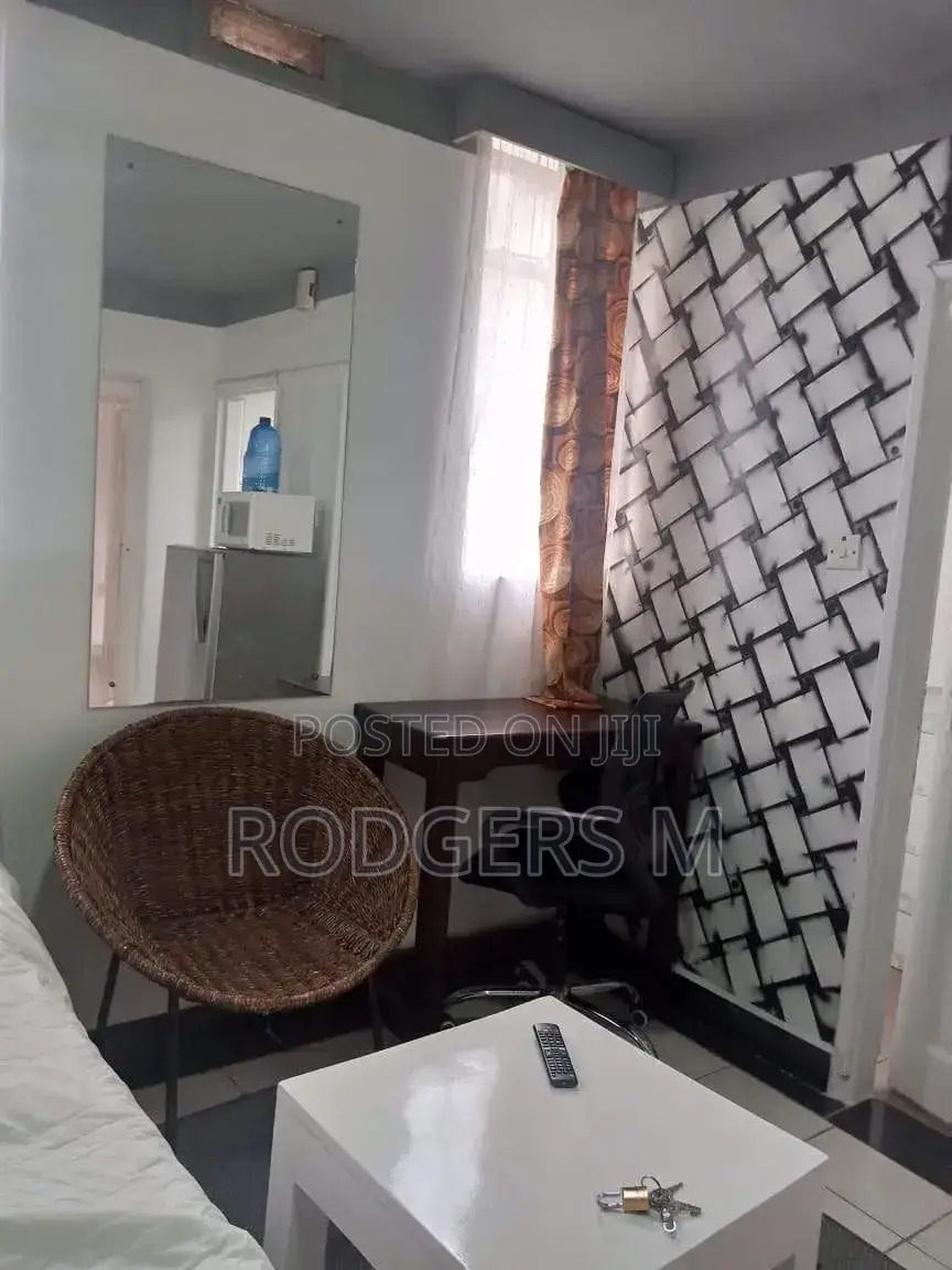 Furnished Studio Apartment in Raphta Road Area for rent