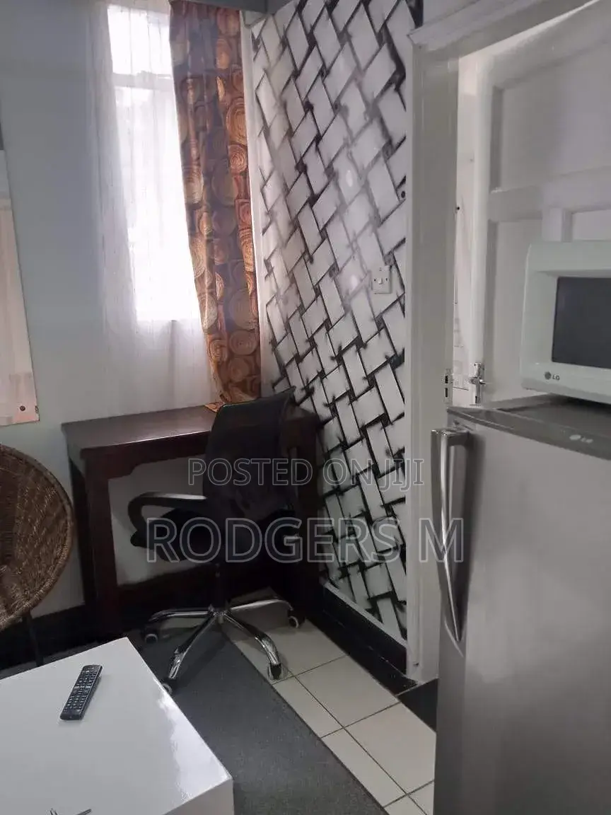 Furnished Studio Apartment in Raphta Road Area for rent