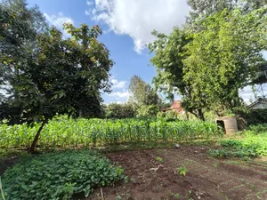 Prime Quarter Acre Corner Plot for Sale in Kerarapon Drive. Red Soil